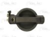 BLIC 6010-07-029417P Door Handle